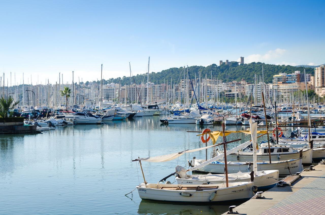Sargantana Hébergement de vacances